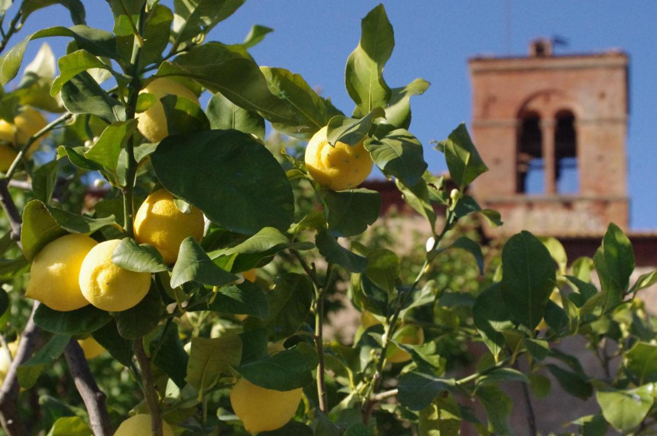 הוילה פיינצה Fattoria Monastero Sant'Anna In Camprena מראה חיצוני תמונה