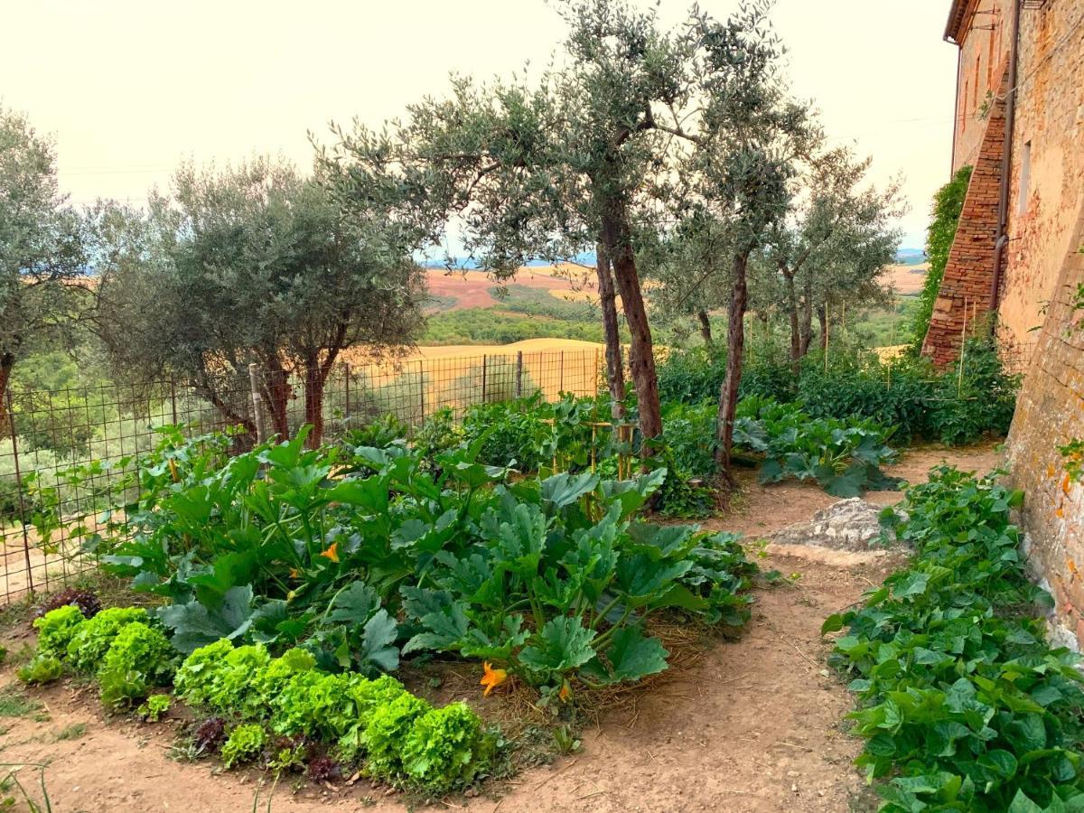 הוילה פיינצה Fattoria Monastero Sant'Anna In Camprena מראה חיצוני תמונה