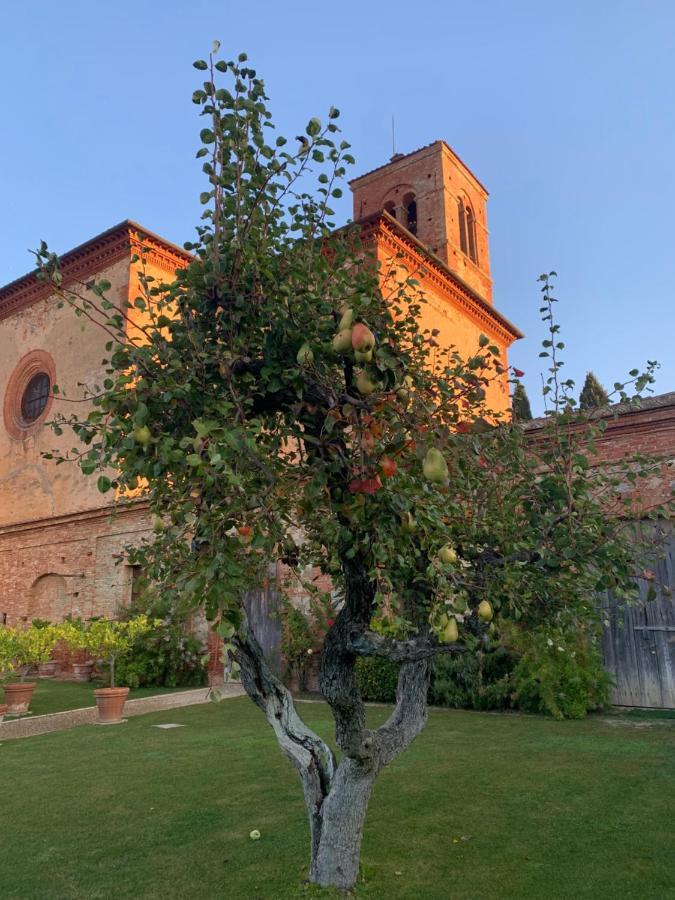 הוילה פיינצה Fattoria Monastero Sant'Anna In Camprena מראה חיצוני תמונה